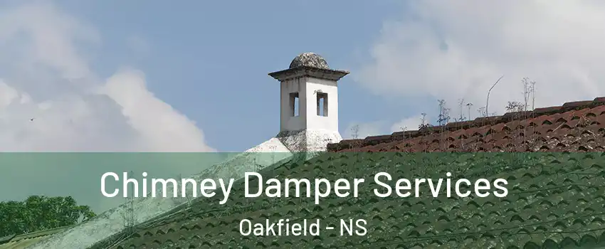  Chimney Damper Services Oakfield - NS