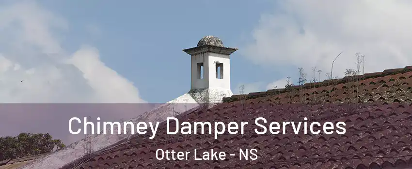  Chimney Damper Services Otter Lake - NS