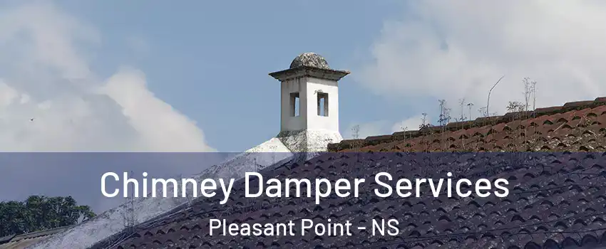  Chimney Damper Services Pleasant Point - NS