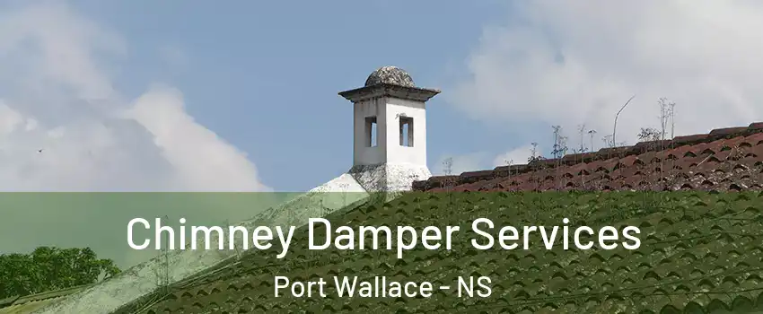  Chimney Damper Services Port Wallace - NS