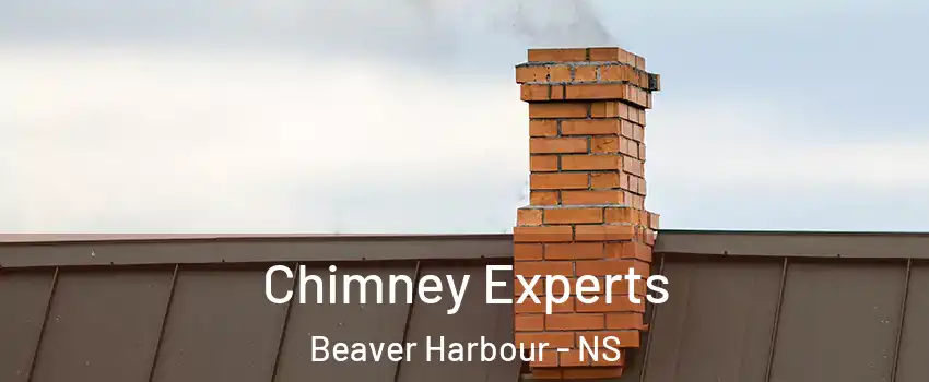 Chimney Experts Beaver Harbour - NS