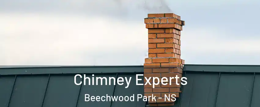 Chimney Experts Beechwood Park - NS
