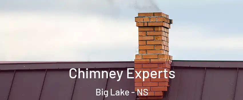 Chimney Experts Big Lake - NS