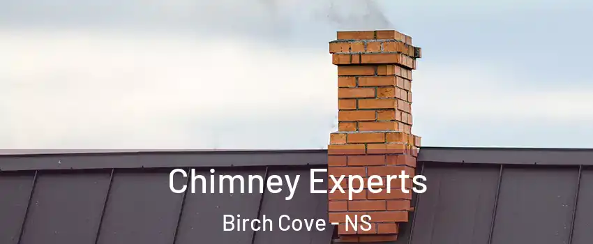 Chimney Experts Birch Cove - NS