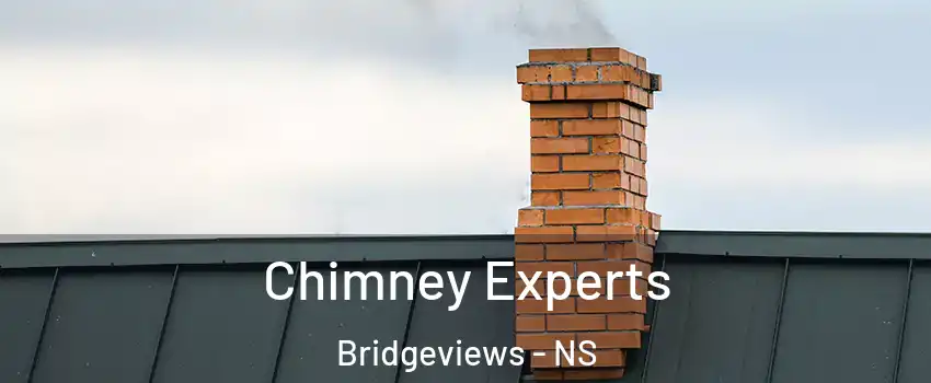 Chimney Experts Bridgeviews - NS
