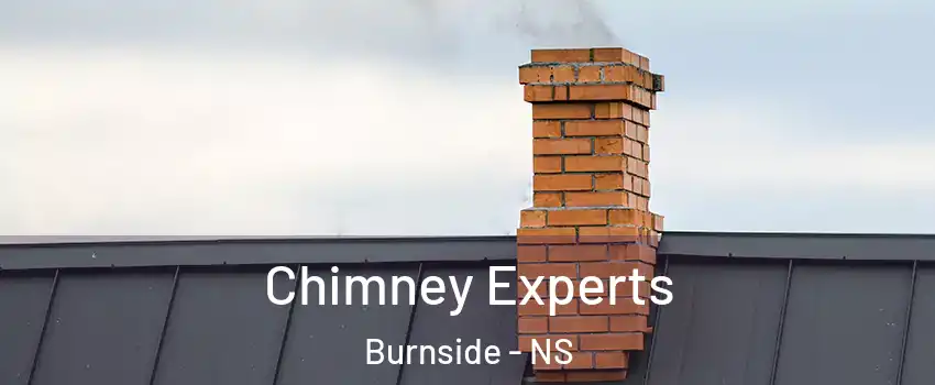 Chimney Experts Burnside - NS