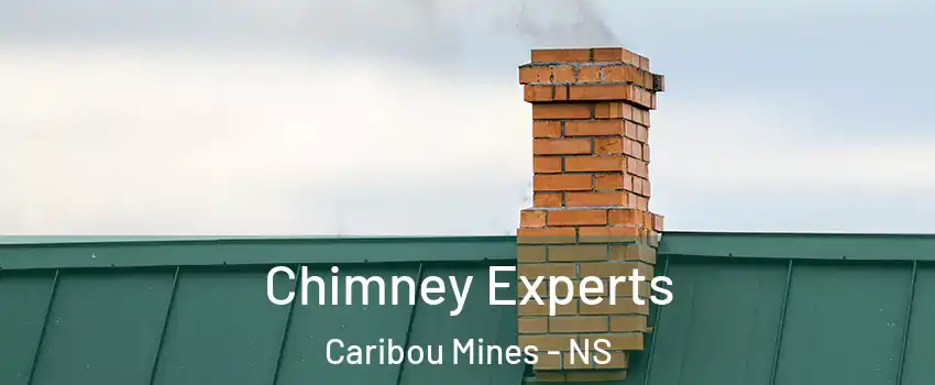 Chimney Experts Caribou Mines - NS