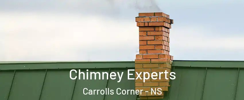 Chimney Experts Carrolls Corner - NS