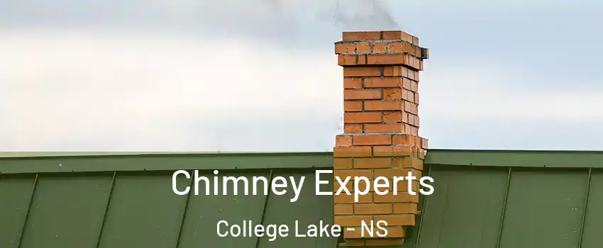 Chimney Experts College Lake - NS