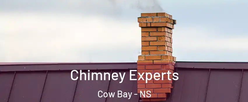 Chimney Experts Cow Bay - NS