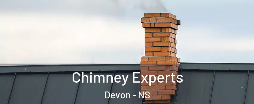 Chimney Experts Devon - NS