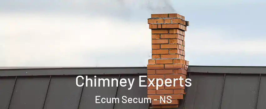 Chimney Experts Ecum Secum - NS