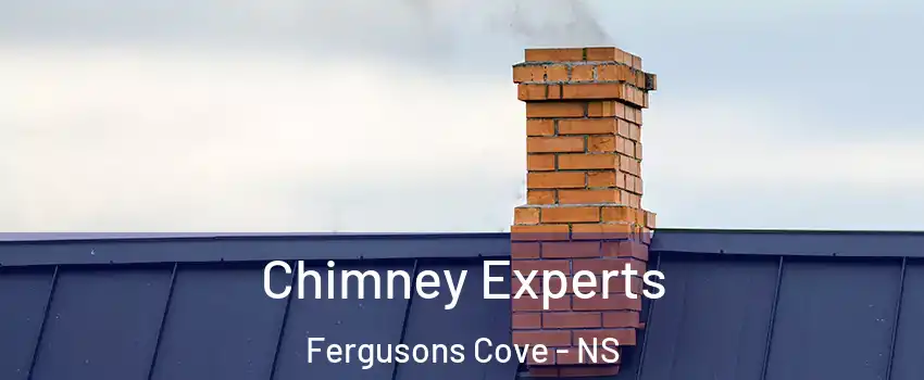 Chimney Experts Fergusons Cove - NS