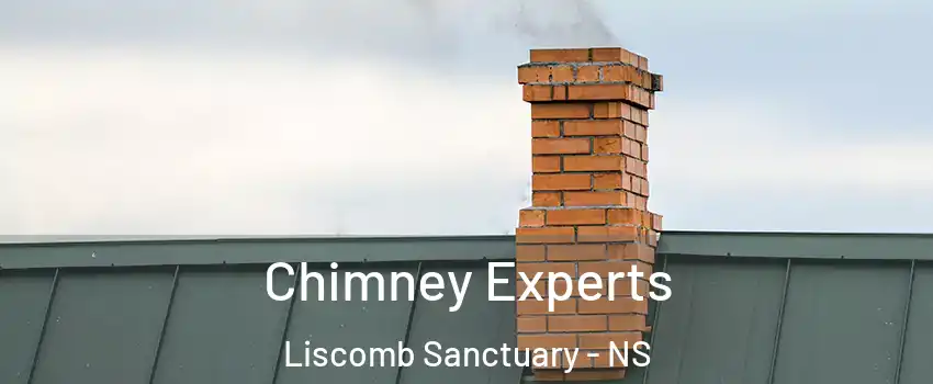 Chimney Experts Liscomb Sanctuary - NS