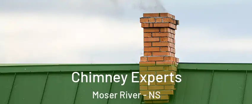 Chimney Experts Moser River - NS