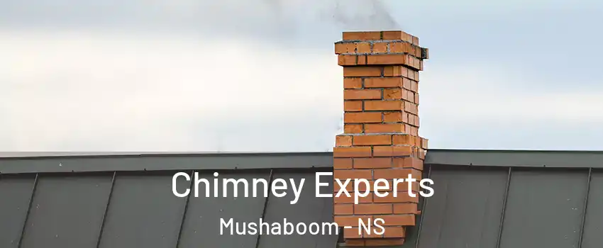 Chimney Experts Mushaboom - NS