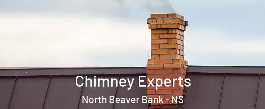 Chimney Experts North Beaver Bank - NS