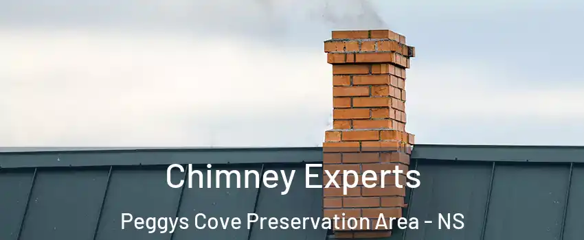 Chimney Experts Peggys Cove Preservation Area - NS