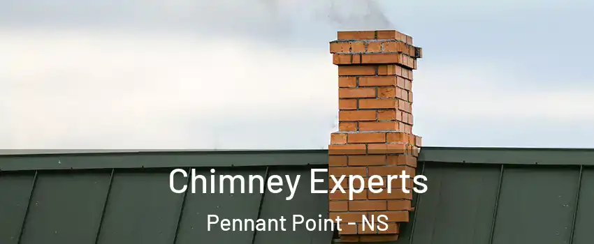 Chimney Experts Pennant Point - NS