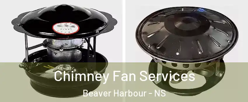  Chimney Fan Services Beaver Harbour - NS