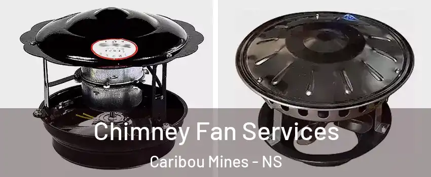  Chimney Fan Services Caribou Mines - NS