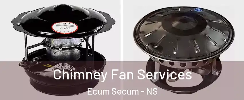  Chimney Fan Services Ecum Secum - NS