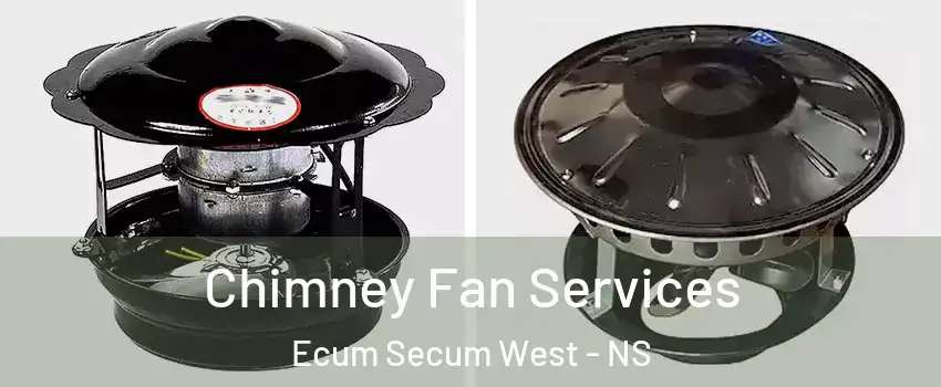  Chimney Fan Services Ecum Secum West - NS