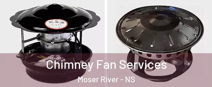  Chimney Fan Services Moser River - NS