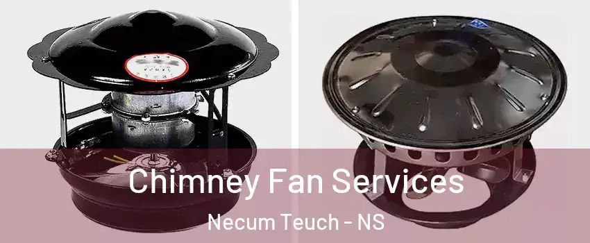  Chimney Fan Services Necum Teuch - NS
