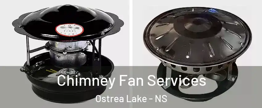  Chimney Fan Services Ostrea Lake - NS