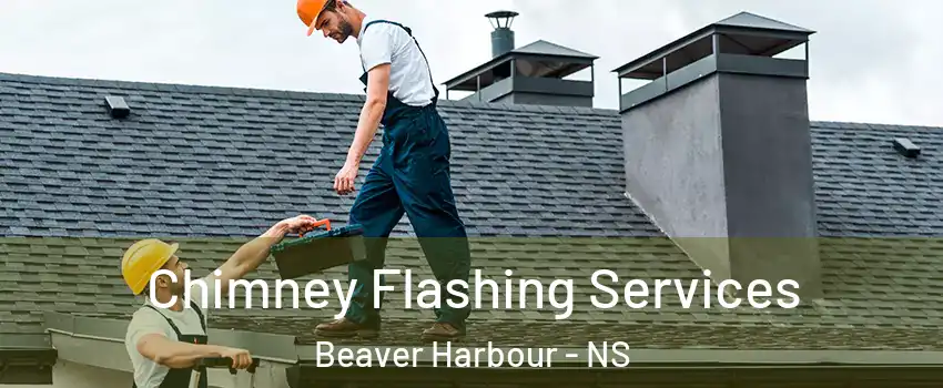 Chimney Flashing Services Beaver Harbour - NS