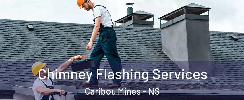 Chimney Flashing Services Caribou Mines - NS