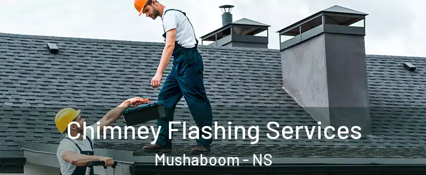 Chimney Flashing Services Mushaboom - NS