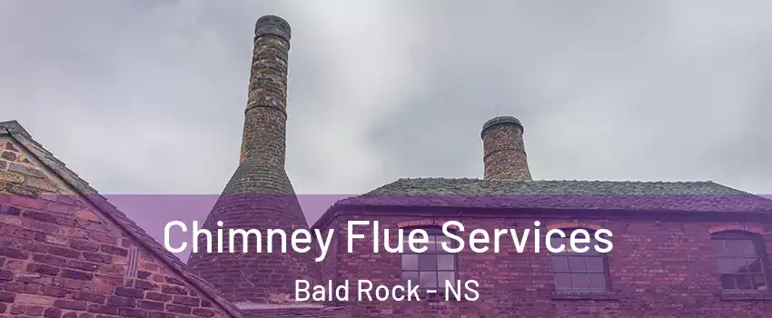  Chimney Flue Services Bald Rock - NS