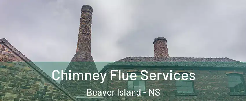  Chimney Flue Services Beaver Island - NS