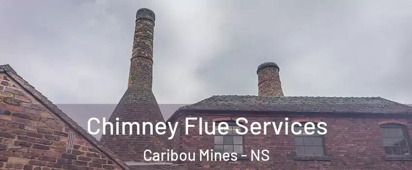  Chimney Flue Services Caribou Mines - NS