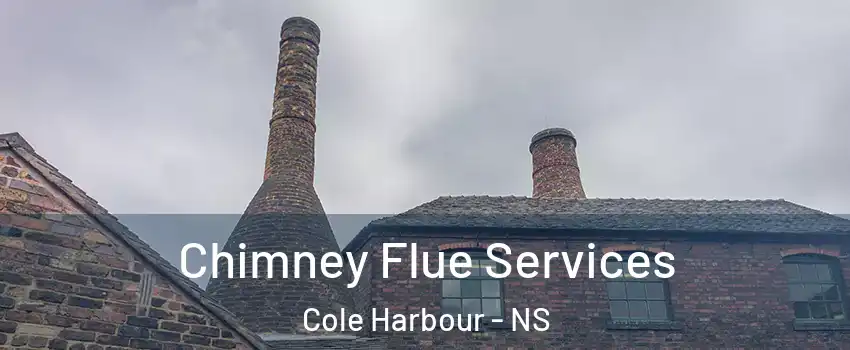  Chimney Flue Services Cole Harbour - NS