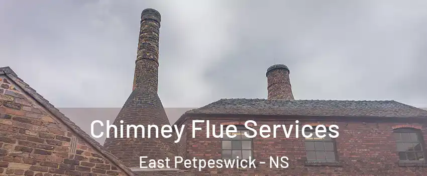  Chimney Flue Services East Petpeswick - NS