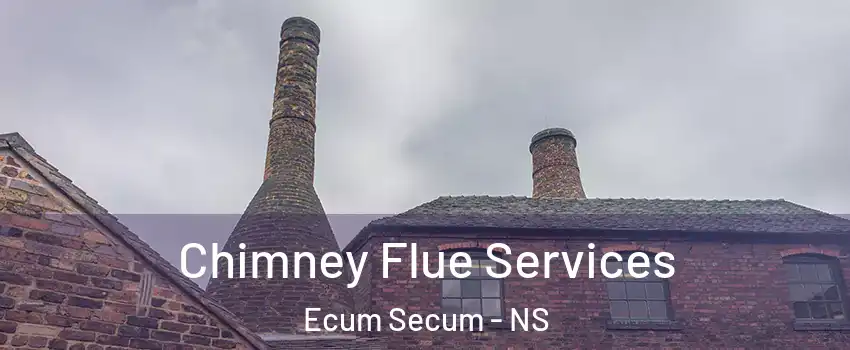  Chimney Flue Services Ecum Secum - NS
