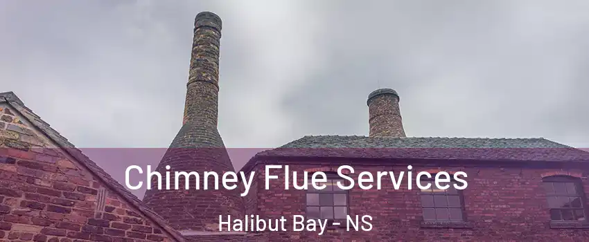  Chimney Flue Services Halibut Bay - NS