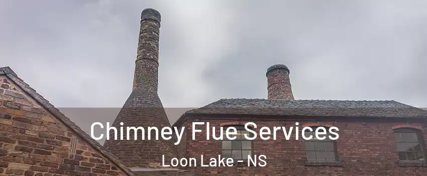  Chimney Flue Services Loon Lake - NS