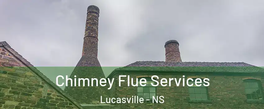  Chimney Flue Services Lucasville - NS