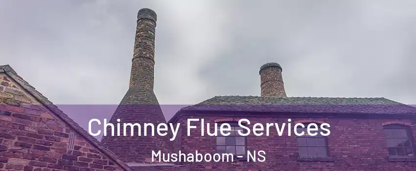  Chimney Flue Services Mushaboom - NS