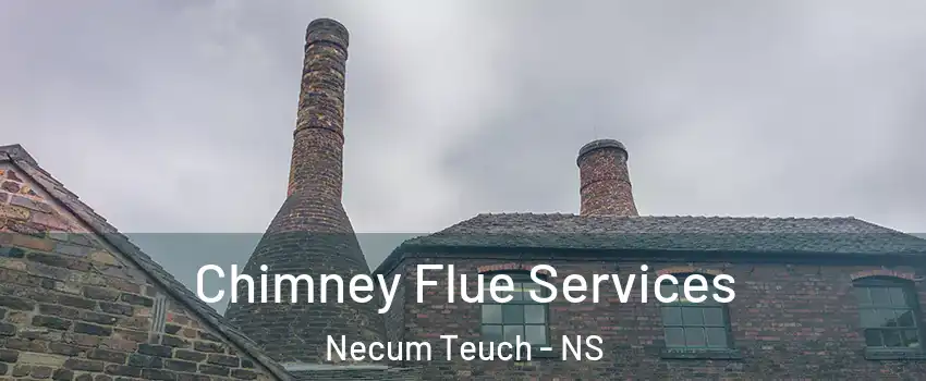  Chimney Flue Services Necum Teuch - NS