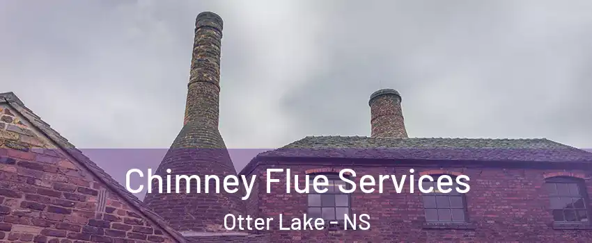  Chimney Flue Services Otter Lake - NS
