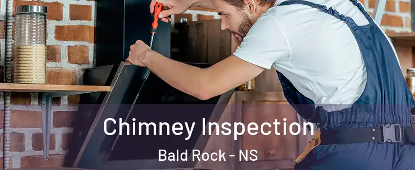  Chimney Inspection Bald Rock - NS