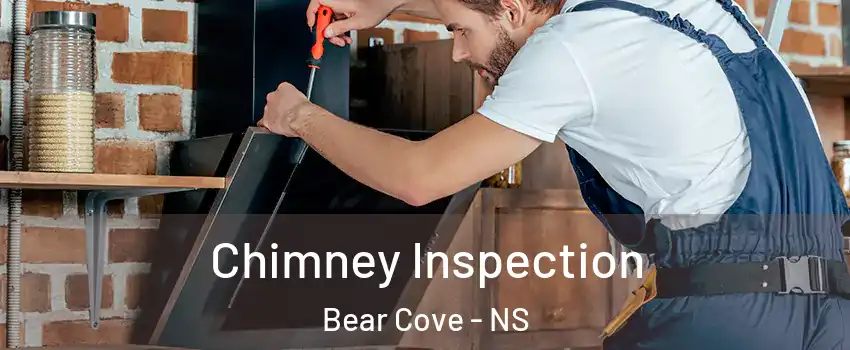  Chimney Inspection Bear Cove - NS