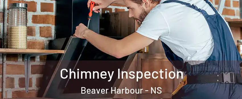  Chimney Inspection Beaver Harbour - NS