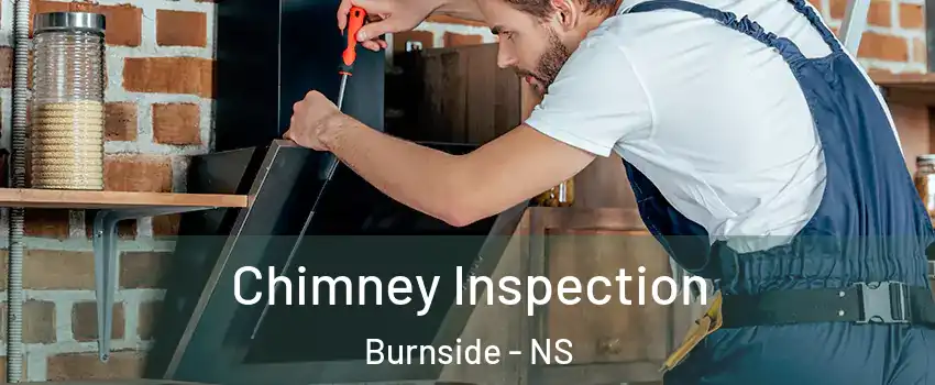  Chimney Inspection Burnside - NS
