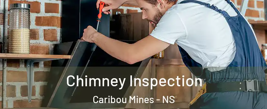  Chimney Inspection Caribou Mines - NS